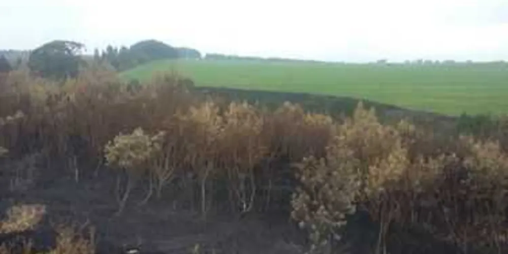 Incêndio Criminoso foi registrado na Fazenda Modelo