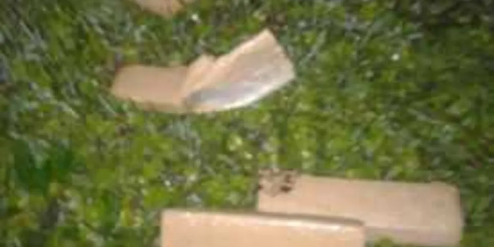 Maconha foi jogada do carro pelo motorista, diz PM