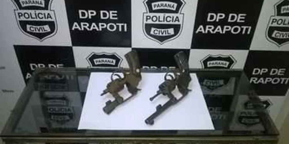 Imagem ilustrativa da imagem Polícia de Arapoti encontra armas usadas em homicídios