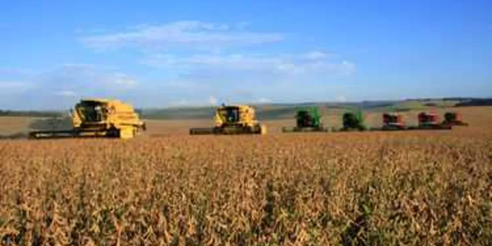 Dados mostram a soma de R$ 7 bilhões em produção agropecuária nos Campos Gerais
