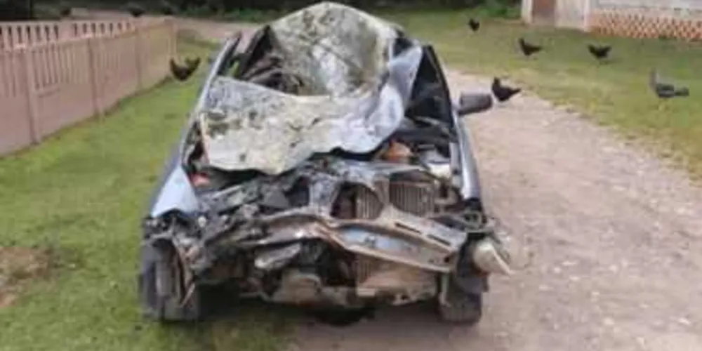 Imagem ilustrativa da imagem Carro fica destruído ao bater em cavalo na PR-151