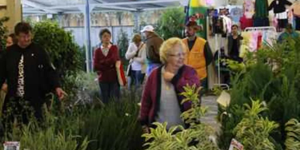 Expo&Flor segue em PG durante o feriado