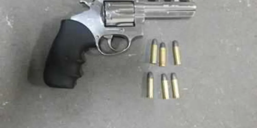 Imagem ilustrativa da imagem PM apreende armas em Telêmaco e Ortigueira