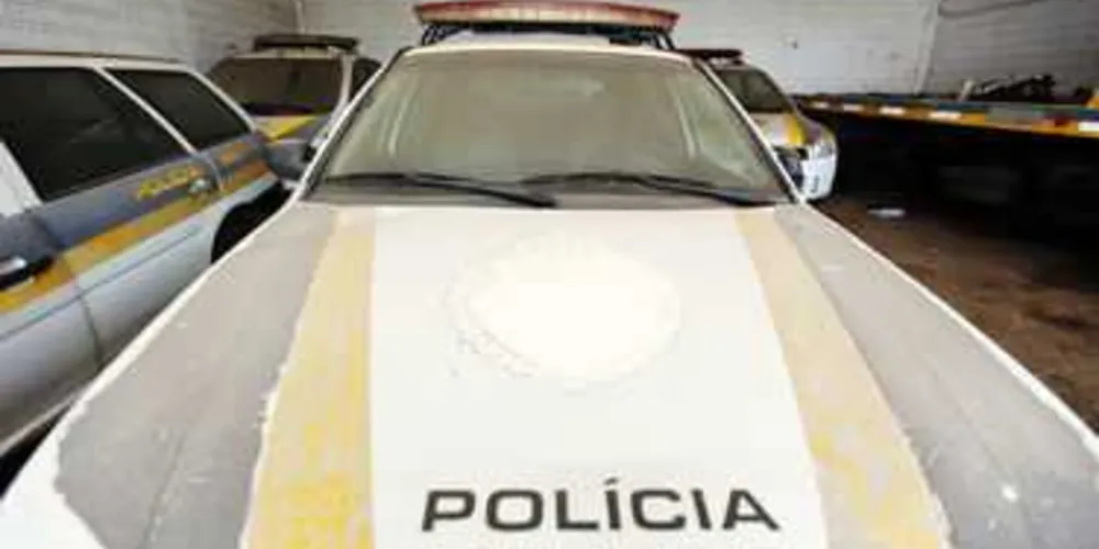 Imagem ilustrativa da imagem 1º BPM pode reforçar frota com 30 novas viaturas