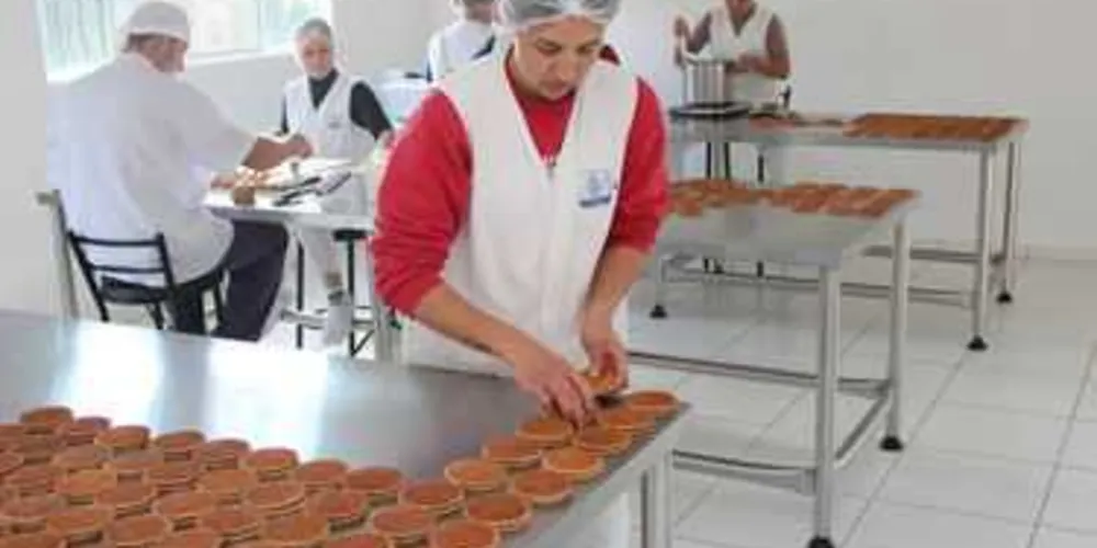 Imagem ilustrativa da imagem Sebrae entrega guia aos candidatos para incentivar empreendedorismo