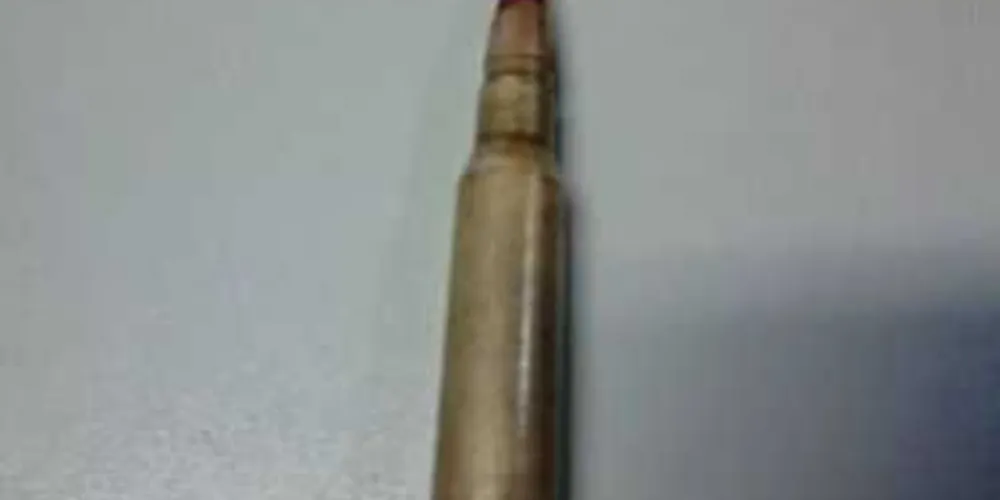 Imagem ilustrativa da imagem Menino mostra munição para colegas de classe e PM é acionada