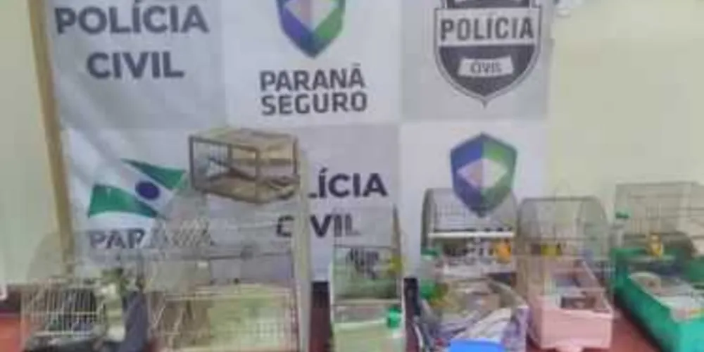 Imagem ilustrativa da imagem Polícia de Irati apreende aves silvestres ameaçadas de extinção