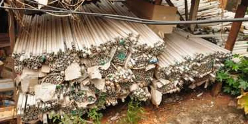 Imagem ilustrativa da imagem PG recolhe 100 mil lâmpadas para destinação correta