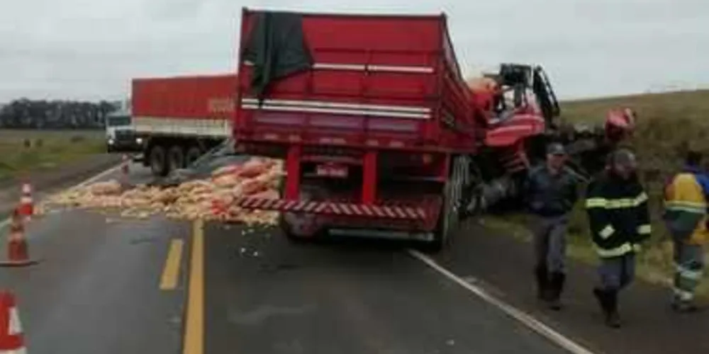 Imagem ilustrativa da imagem Caminhoneiro de Irati morre em acidente em São Paulo