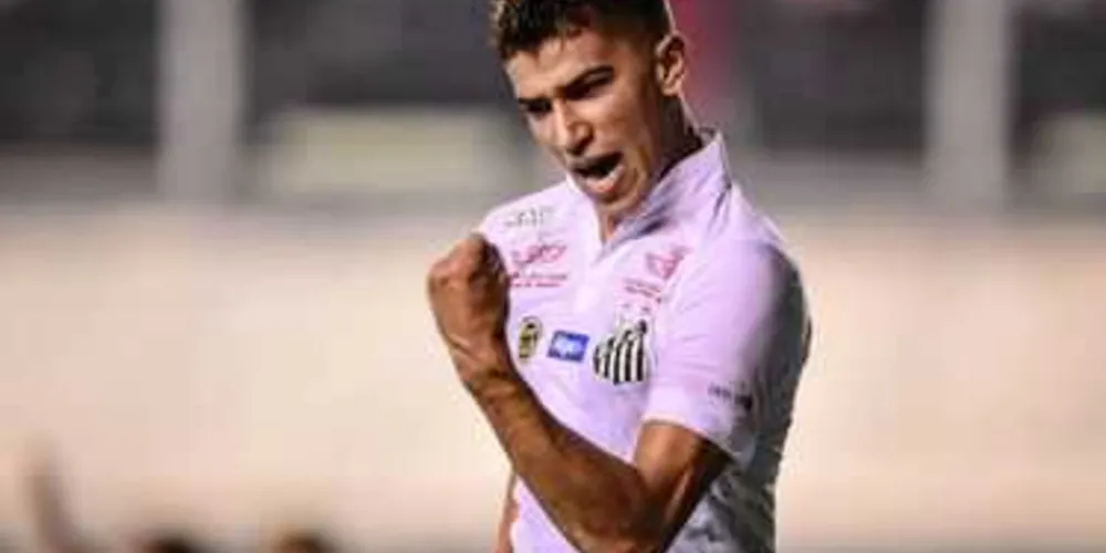 Imagem ilustrativa da imagem Furacão e Santos jogam por vaga no G-4