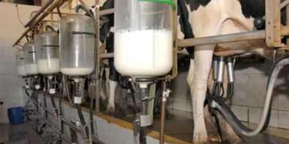 Castro aparece como maior produtora de leite do país