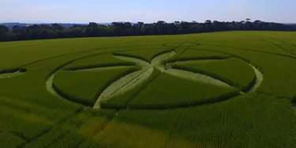 Agroglifos de Prudentópolis são investigados por especialistas