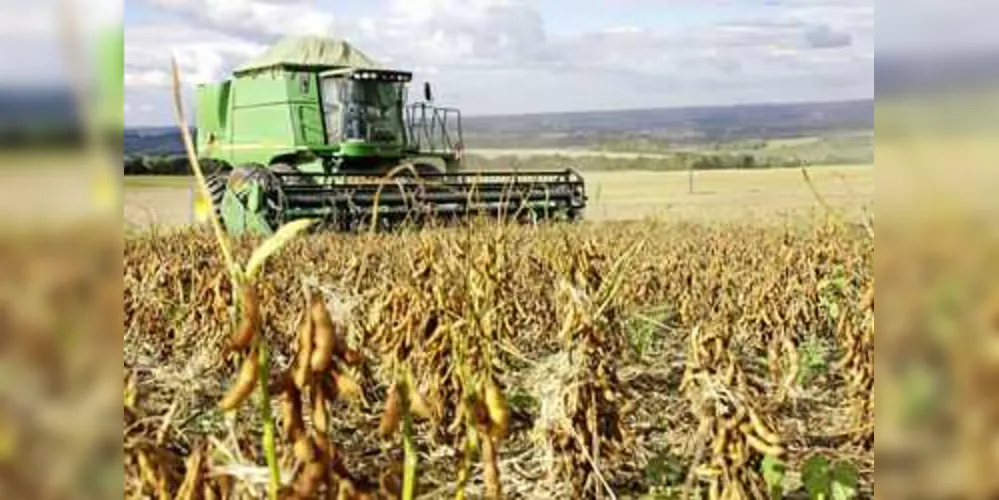 Plantio de soja será realizado até o mês de dezembro