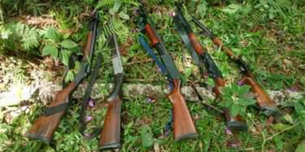 Armas foram apreendidas em Teixeira Soares