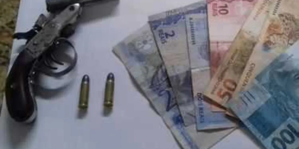 Armas foram apreendidas em Castro e Piraí do Sul