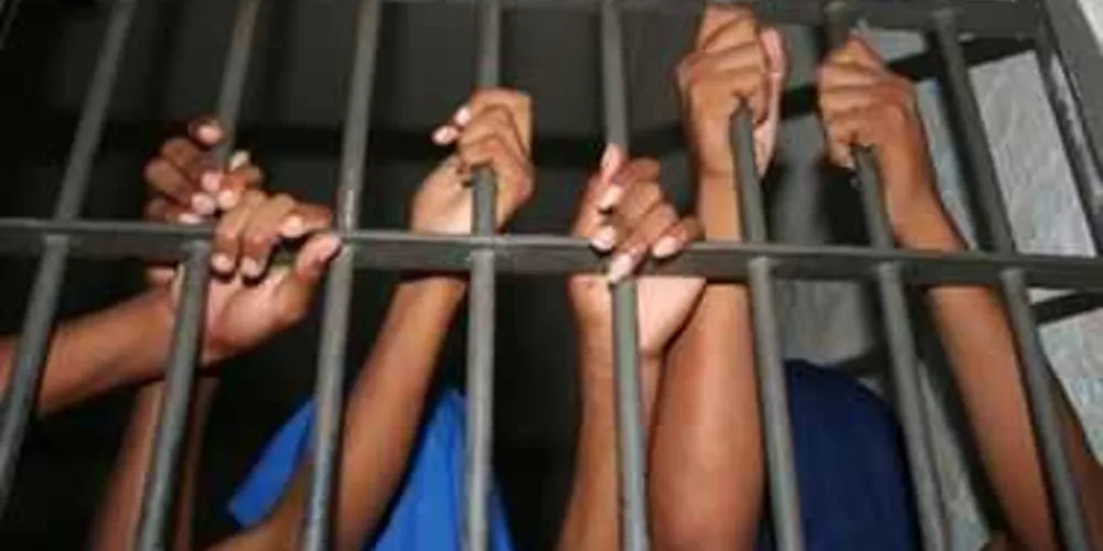 Imagem ilustrativa da imagem PR estuda permitir uso de telefones dentro das carceragens