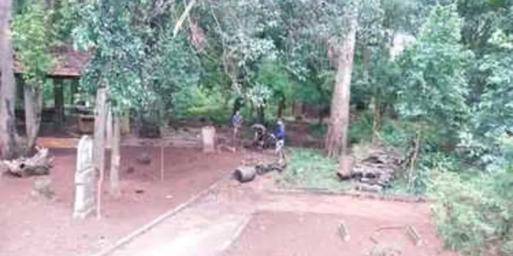 Imagem ilustrativa da imagem Estudantes de escola ocupada limpam bosque em PG