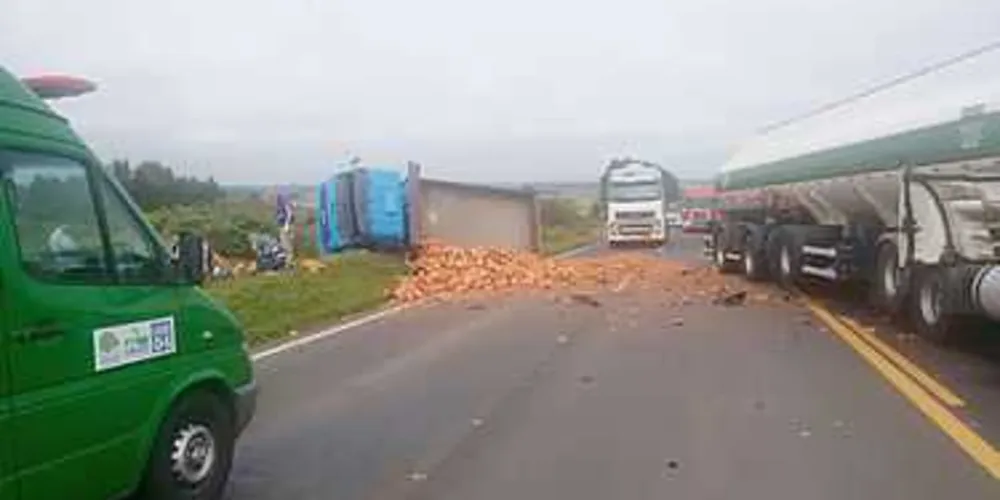 Imagem ilustrativa da imagem Acidente deixa caminhoneiro com ferimentos graves em Palmeira