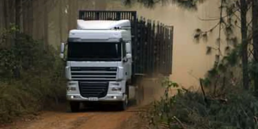 Empresa instalada em Ponta Grossa recebeu selo de qualidade