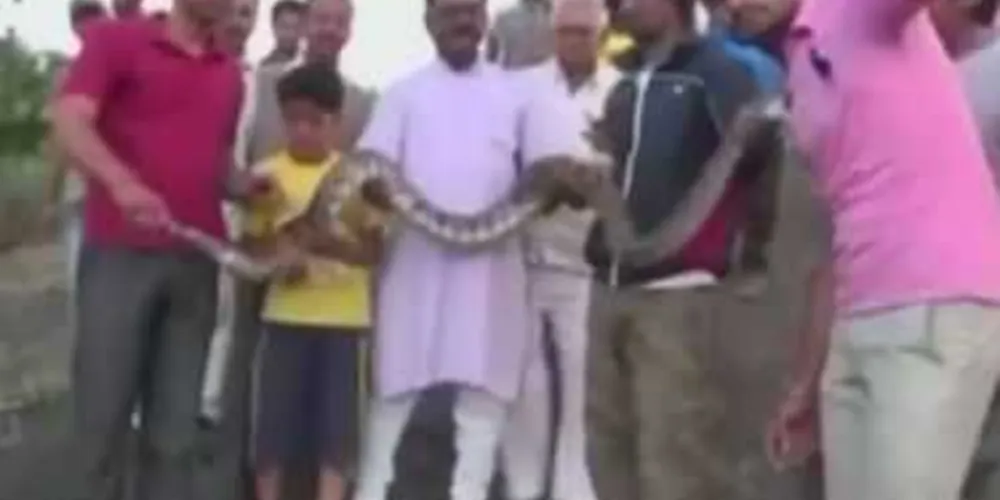 Imagem ilustrativa da imagem Indiano leva mordida de cobra ao tentar fazer selfie