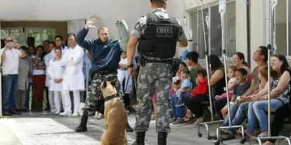 Imagem ilustrativa da imagem Canil da PM se apresenta no Hospital da Criança
