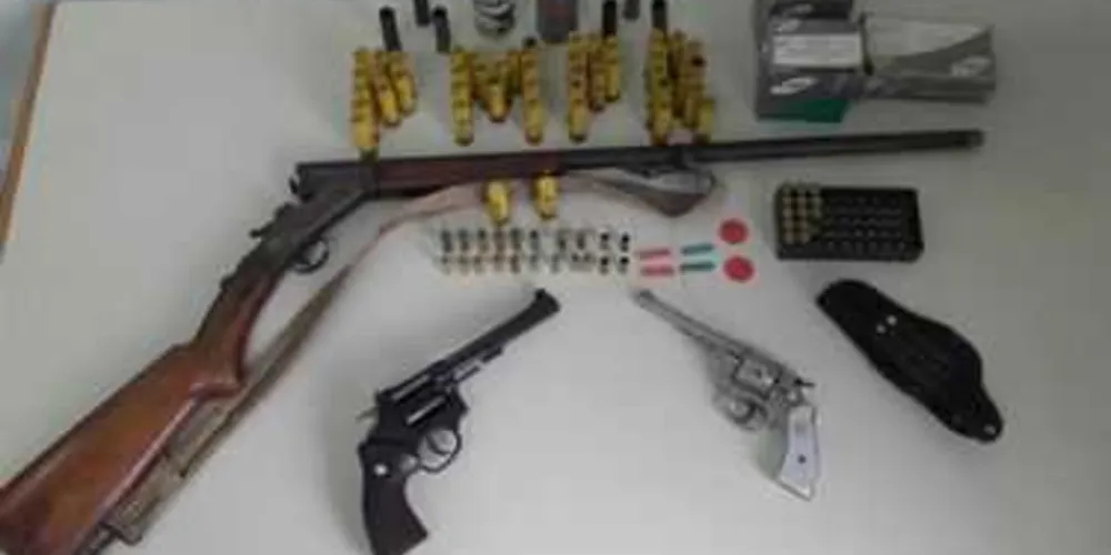 Imagem ilustrativa da imagem Policias recuperam carneiros roubados em Rebouças