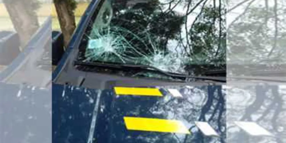 Imagem ilustrativa da imagem Indígenas atacam policiais, saqueiam carga e incendeiam caminhão