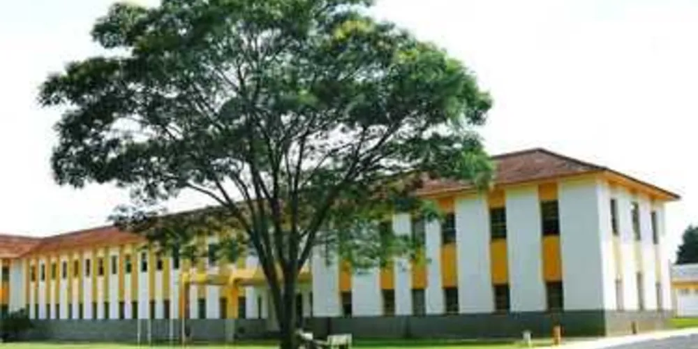 Imagem ilustrativa da imagem Faculdades Ponta Grossa abrem cursos de extensão