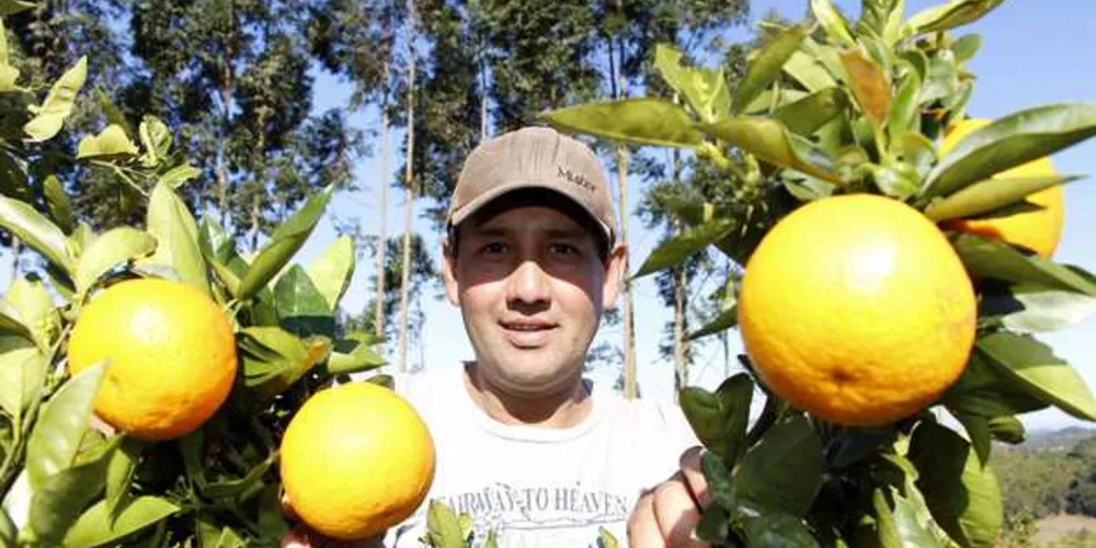 Imagem ilustrativa da imagem Governo lança benefício para agricultores dos Campos Gerais