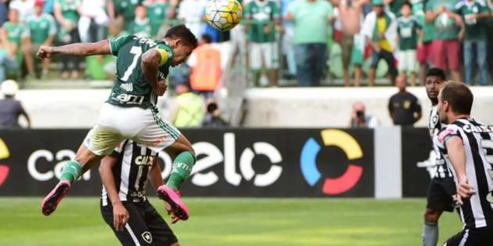 Imagem ilustrativa da imagem Palmeiras vence e está muito perto de ser campeão Brasileiro de 2016