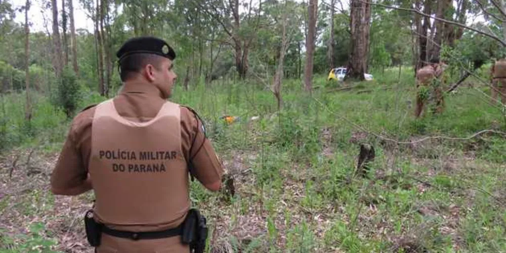 Imagem ilustrativa da imagem Idoso é assassinado com requintes de crueldade em PG