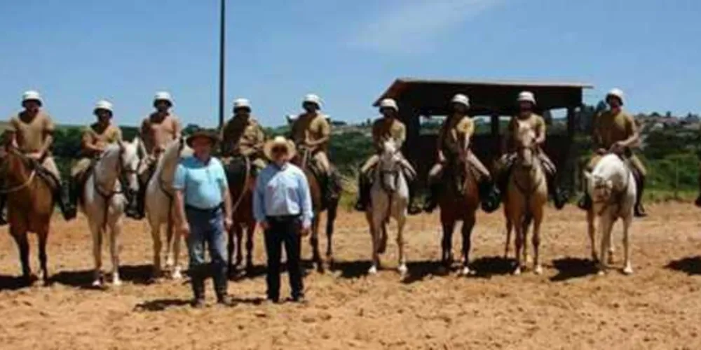 Imagem ilustrativa da imagem Pelotão montado da PM realiza treinamento em PG