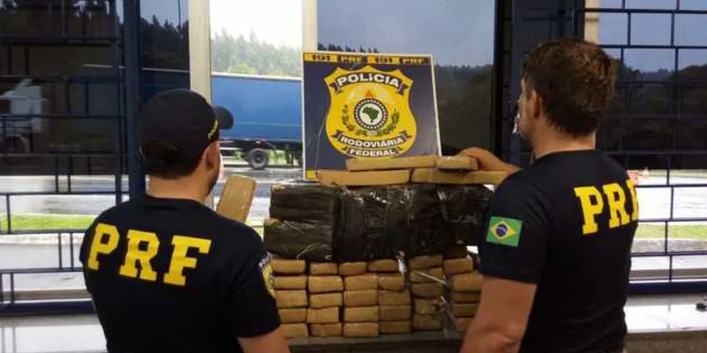 Imagem ilustrativa da imagem PRF apreende quase 80 kg de maconha em Irati