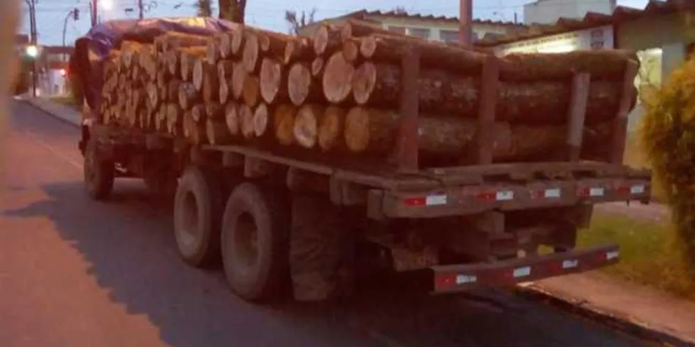 Caminhão foi apreendido com toras de cedro ilegais