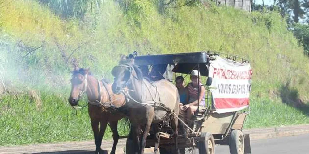 Multa é superior aos R$ 10 mil e PL prevê apreensão dos animais