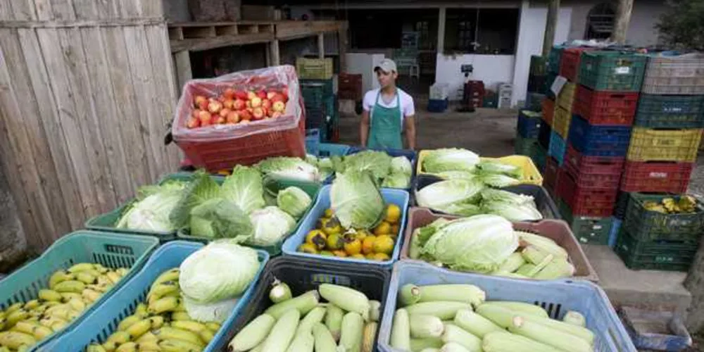 Imagem ilustrativa da imagem Agricultura vai intensificar a agroecologia no Paraná