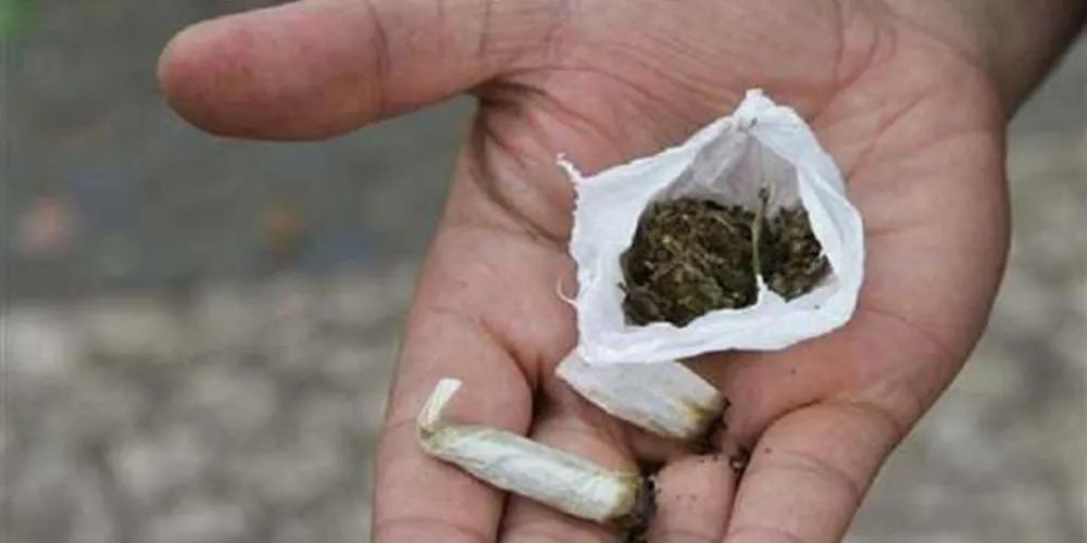 Imagem ilustrativa da imagem Mulher procura polícia após comprar maconha falsa no ES