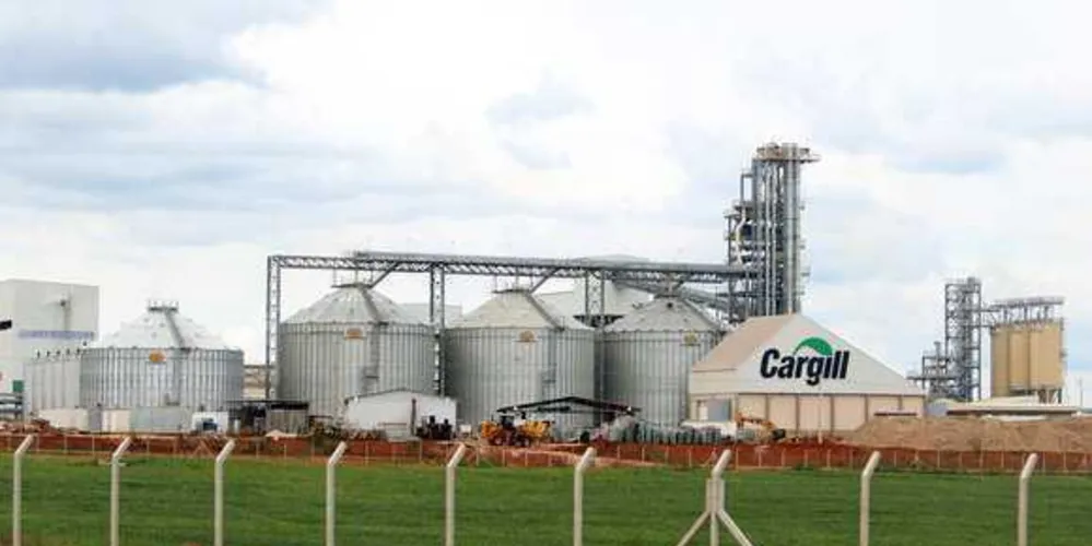 Imagem ilustrativa da imagem Programa Geração Futuro, da Cargill, forma 97 jovens em Castro