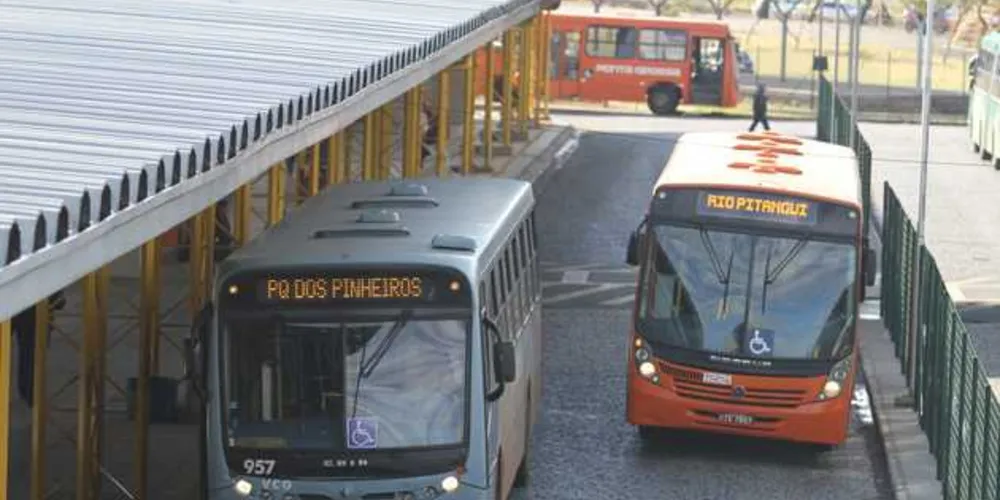Imagem ilustrativa da imagem Transporte coletivo de PG ganha 28 novos ônibus