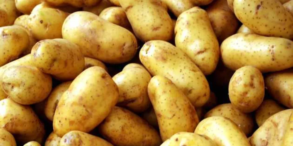 Com baixa de 39%, batata foi o produto que mais apresentou queda nos preços