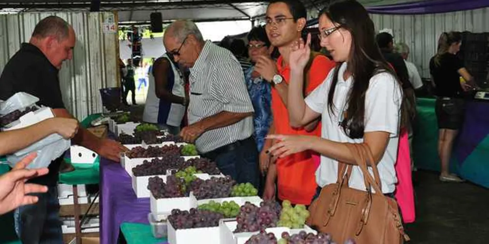 Feira da Uva deve receber 30 mil pessoas por dia