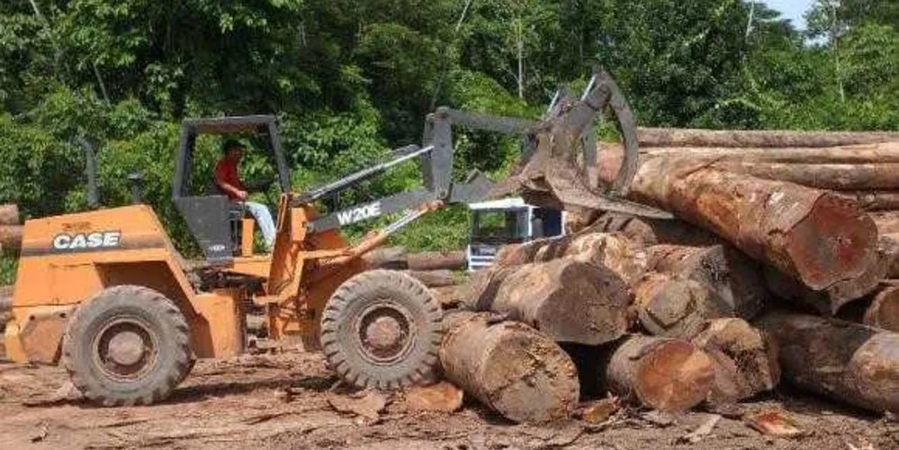 Desmatamento de 2016 na Amazônia é o maior desde 2008, segundo levantamento do Ipam