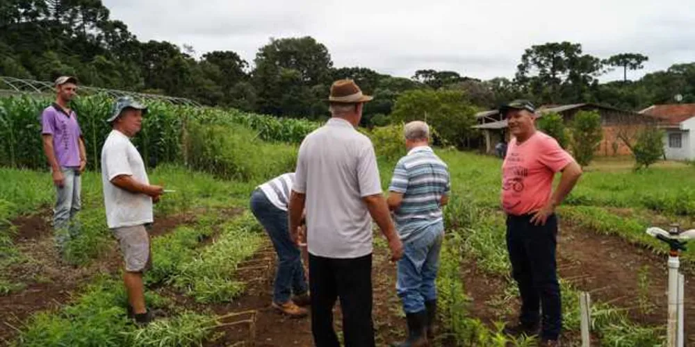 Área é utilizada para novas alternativas agrícolas