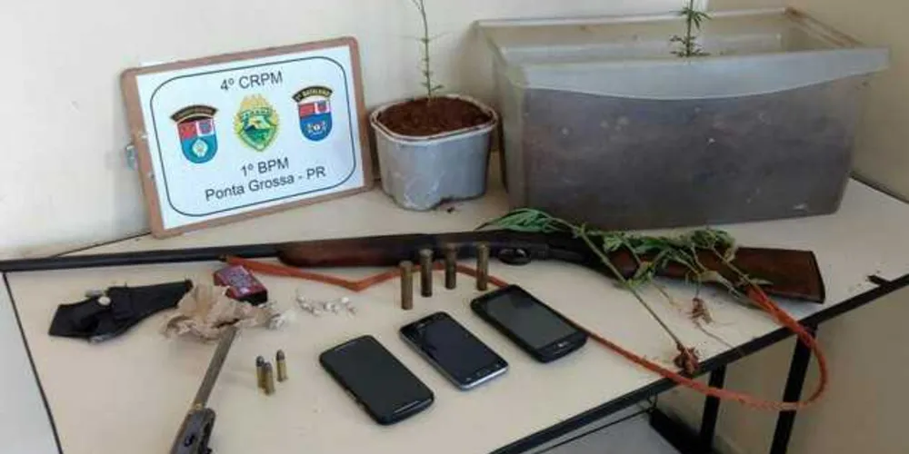 Imagem ilustrativa da imagem 1° BPM já aprendeu 18 armas na região em 2017