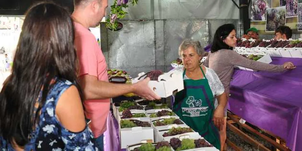 Expectativa é de que 120 mil pessoas visitem o evento
