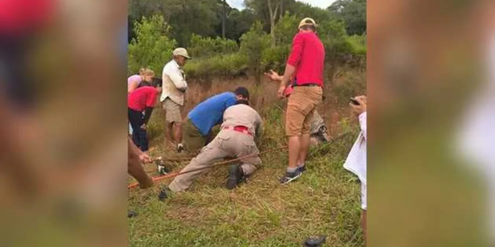 Imagem ilustrativa da imagem Homem é resgatado de buraco de 30 metros em Teixeira Soares