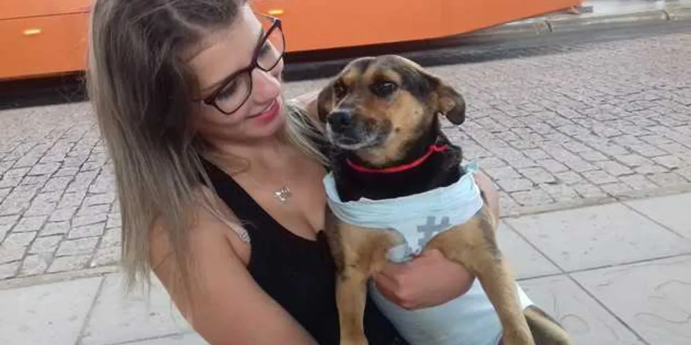 Imagem ilustrativa da imagem Protetora de animais viraliza na internet