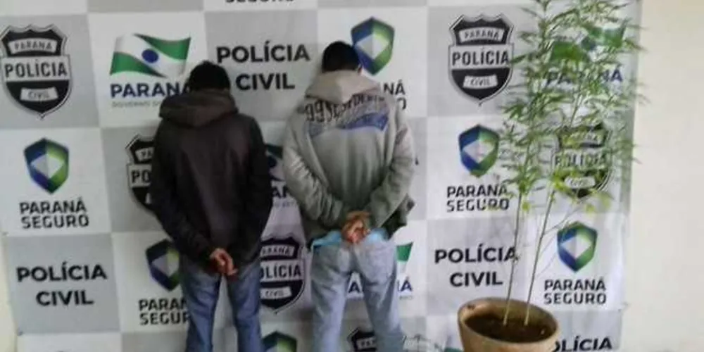 Suspeitos de tráfico e desmanche de veículos roubados foram presos