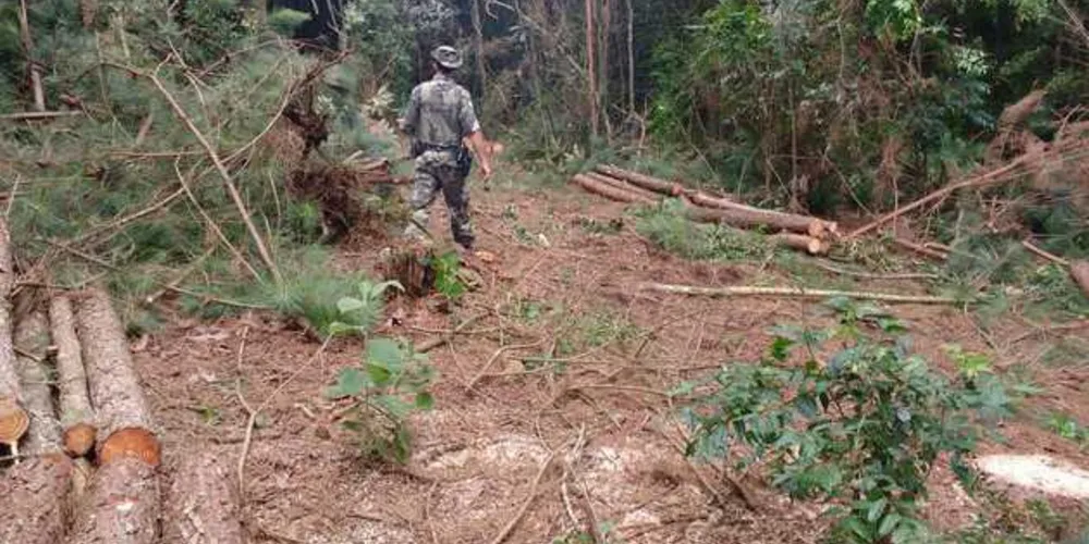 Terreno fica no Cará-Cará