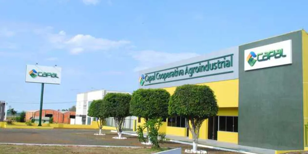 Imagem ilustrativa da imagem Capal cresce 32% em  2016 e faturamento supera R$ 1 bi